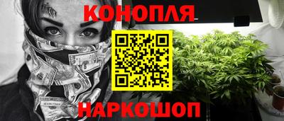 гашик Ливны