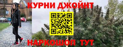 гашик Ливны