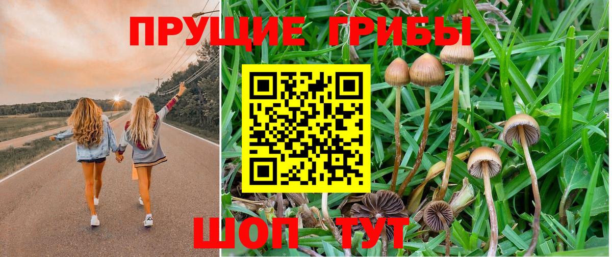 что такое   Галлюциногенные грибы мухоморы  Галлюциногенные грибы ЛСД  Вход с VPN  Ишимбай 