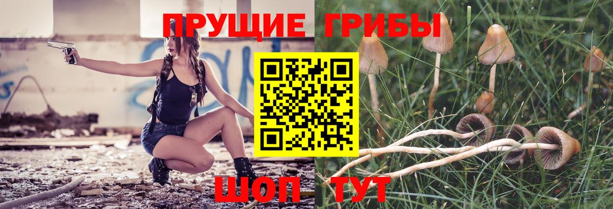 Галлюциногенные грибы прущие грибы Ишимбай